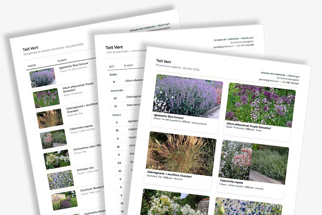 Documents professionnels Mix Border : présentation client, fiche d'entretien et liste de plantation, en PDF